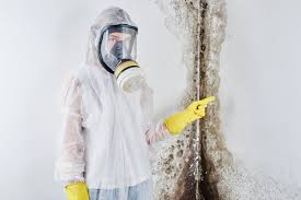 Best Water Damage & Mold Remediation  in Samsula Spruce Creek, FL